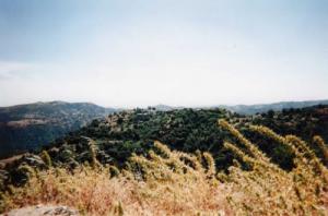 Paysage de Ait-Mâmar (Wilaya de Tizi ouzou)