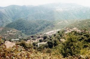 Paysage de Ait-Tsighilt (Wilaya de Tizi ouzou)