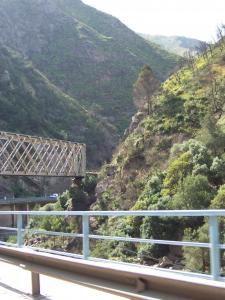 منظر من بلدية الشيفة