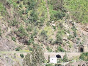 منظر من بلدية الشيفة