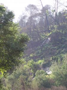 منظر من بلدية الشيفة