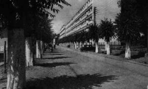 صورة قديمة لمدينة المدية