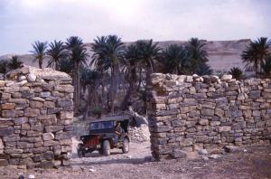 واحة بضواحي ڨنتيس