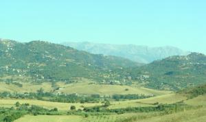 Au loin La Chaîne du Djurdjura