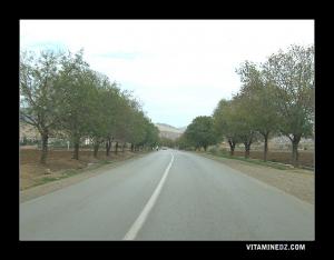 مدخل بلدية العامرة