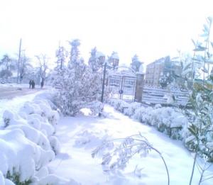 Il Neige sur Tizi ouzou