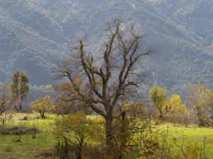 Paysage aux alentours d'Ichriden
