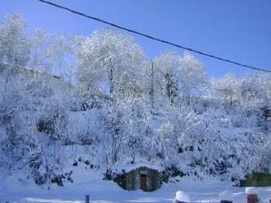 La forêt de Larbaa Nath Irathen sous la neige