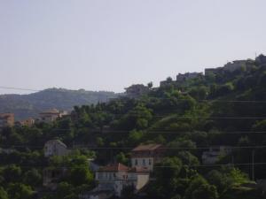 Urbanisme et végétation aux alentours de Tizi ouzou
