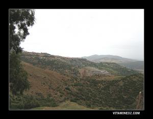 منظر غربي لبلدية مليانة