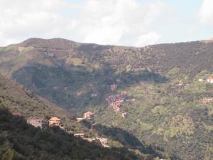 Vue sur la forêt de Soummer