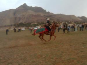 مهرجان فلكلوري بقرية بوخضرة