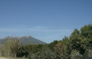 La Nature aux alentours de Tizi Ouzou