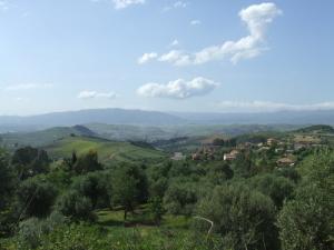 Vue de Thala Khelifa à partir d'Ifri Ldjir (Commune de Ain  El Hammam)