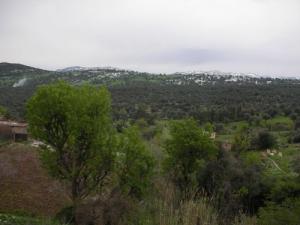 Vue ^Thiniri Mendes (Commune de Mechtras)