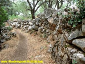 Sentier de village à Thamdha-Oughaladh(Aït-Boumahdi)