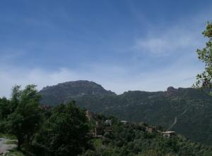 A l'entrée de la forêt de Timeghras