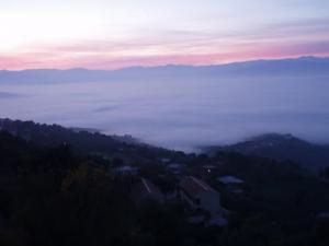 Le brouillard descend sur la ville de Tizi ouzou