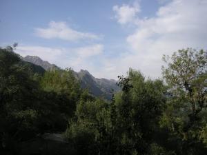 Les forêt de Tizi ouzou