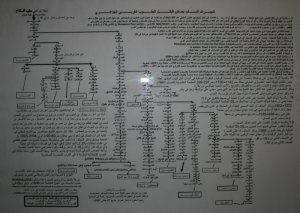 الشجرة العائلية لبعض القبائل المعروفة في الجنوب الجزائري