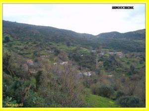 Village d'Ihnouchene (Wilaya de Tizi ouzou)