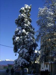 La Cité de Larbaa nath irathen sous la neige