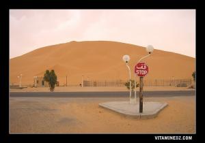 زاوية سيد أحمد بن موسى المتواجدة عند مدخل بلدية كرزاز 1