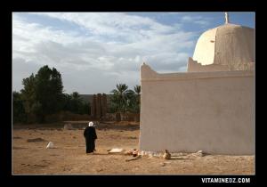 ضريح سيد أحمد بن موسى ببلدية كرزاز 1