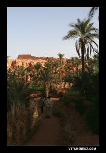 منظر داخلي لواحة ڨنتور