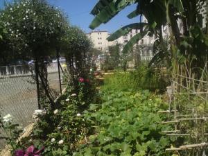 ALGER (JARDIN-CITE DES ANNASSERS)