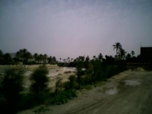 Le Oued de Boussaada