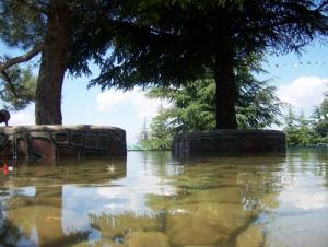 غابات بلدية بن شيكاو (ولاية المدية)