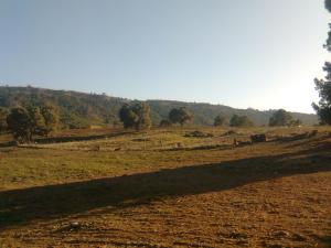 الأراضي الفلاحية بضواحي بوخضرة 1