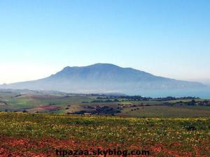 منظر من جبل  شنوة