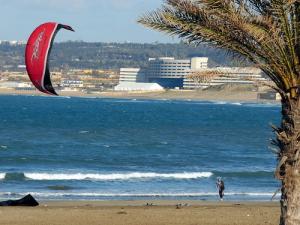 Cerf Volant à Sidi Fredj
