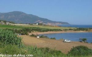 صورة من شاطئ  كوالي