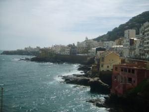 Urbanisme sur la côte d'Alger