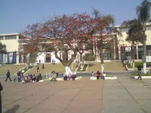 Palais des expositions d'Alger