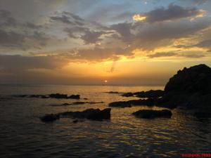 Port de la Madrague près de El Djamila (Alger)