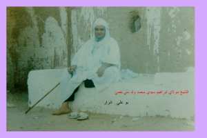 الشيخ سيدي محمد ولد سي حيمي