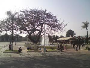 Palais des Expositions