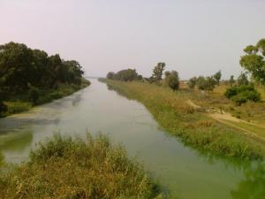 Oued de Mazaghran (Alger)
