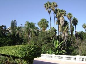 Le jardin d'essai d'Alger