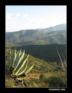 منظر خلاب من جبال عين كبيرة ببني ورسوس