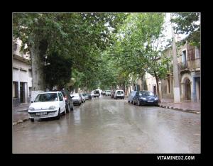 جولة في شوارع مليانة