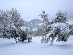 عين روة تحت الثلوج