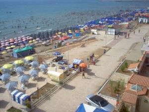 La plage Palm Beach en saison estivale (Alger)