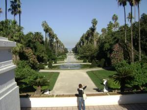 Vue générale du jardin d'essais d'Alger