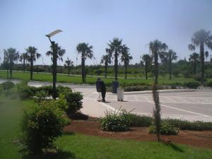 Jardin de l'Hôtel Sheraton (Alger)