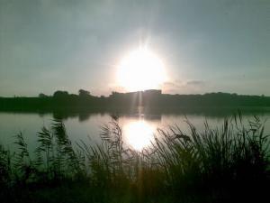 Lac de Reghaia (Alger)